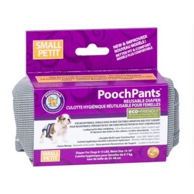 Pooch pants small femelle