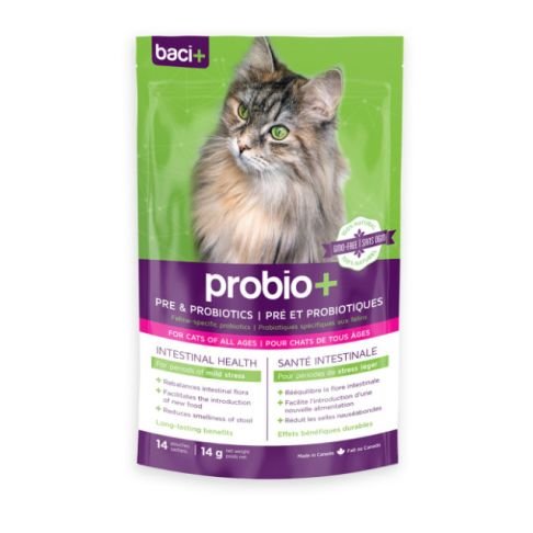 Baci+ probiotiques chats