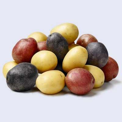 Pommes de terre grelots rouges, jaunes et bleues